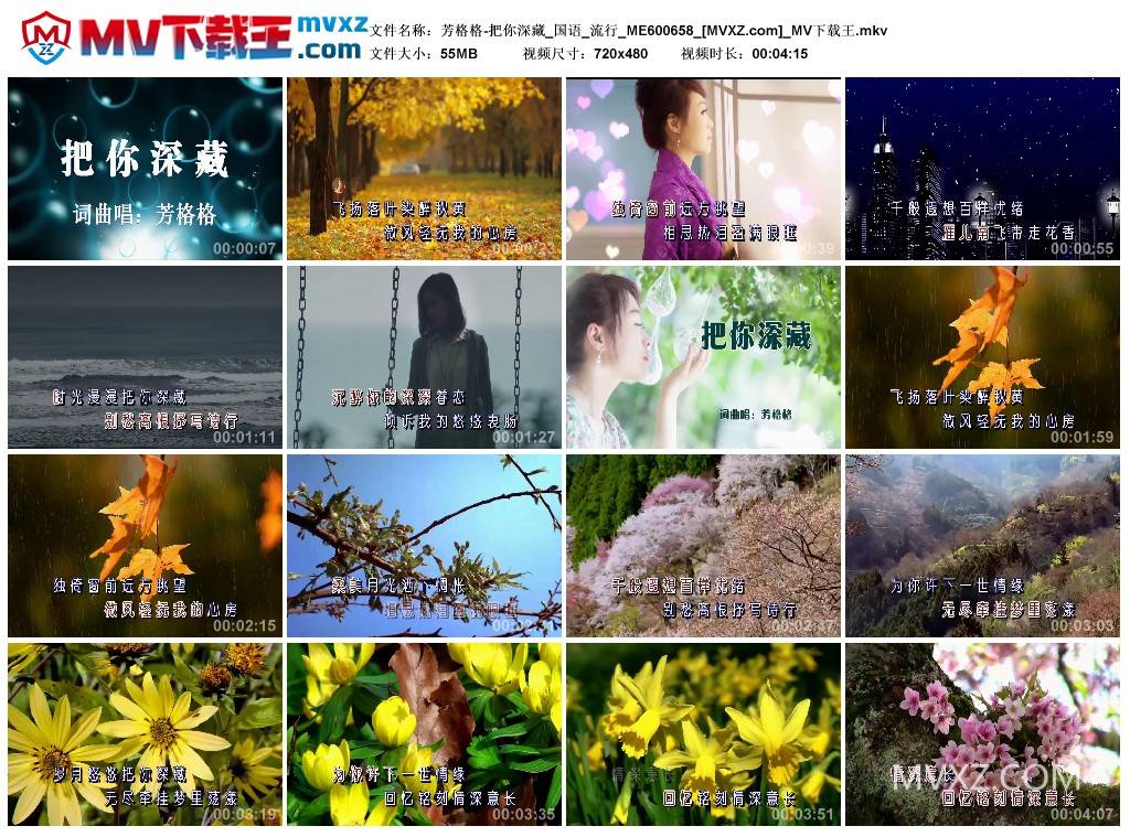 芳格格-把你深藏_国语_流行_ME600658